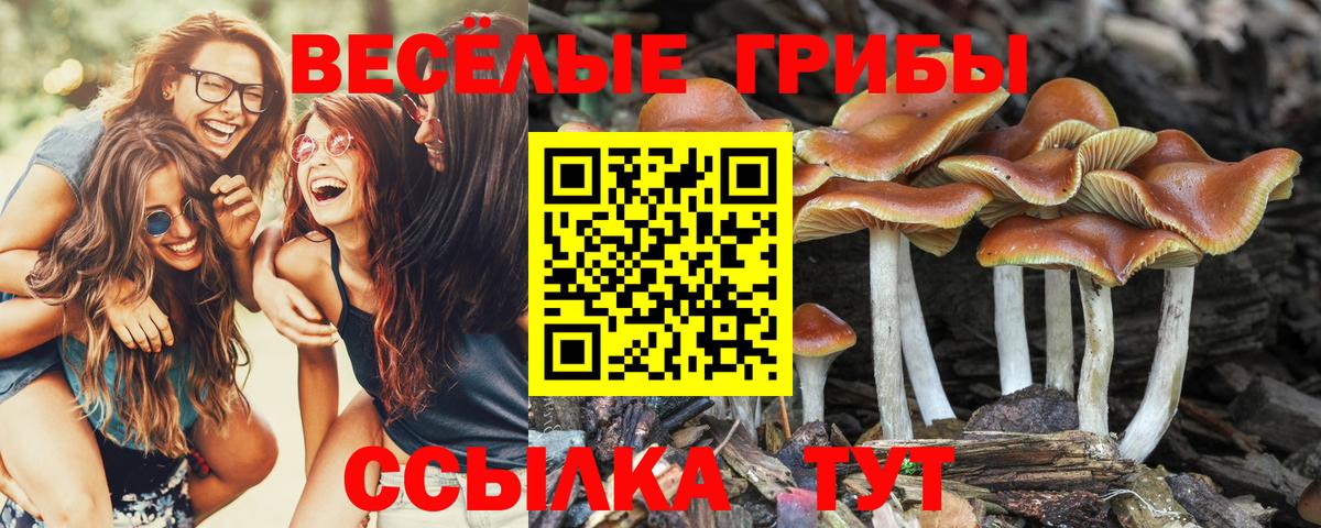 Кушва  Псилоцибиновые грибы ЛСД  Вход с VPN  Галлюциногенные грибы Magic Shrooms 